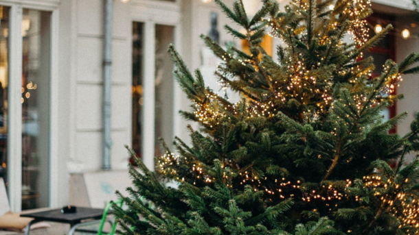 Finding the Perfect 9 ft Flocked Christmas Tree for Sale this Holiday Season