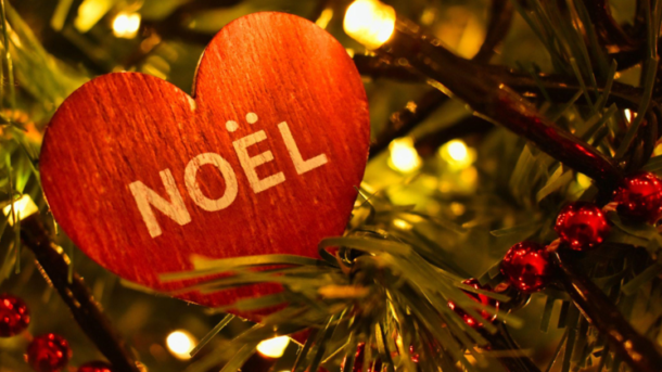 Noble Fir: The King Christmas Tree That Supports Charity