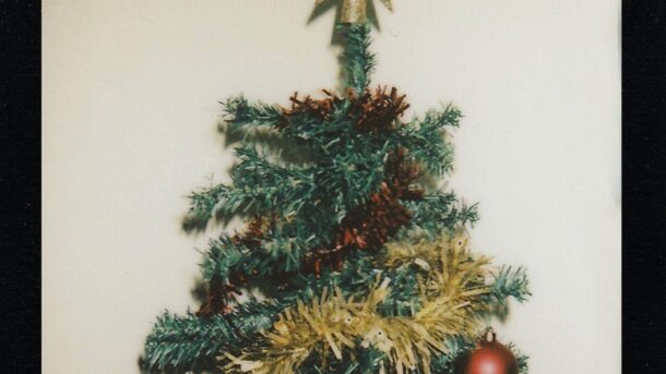 The Magic of Tabletop Christmas Trees